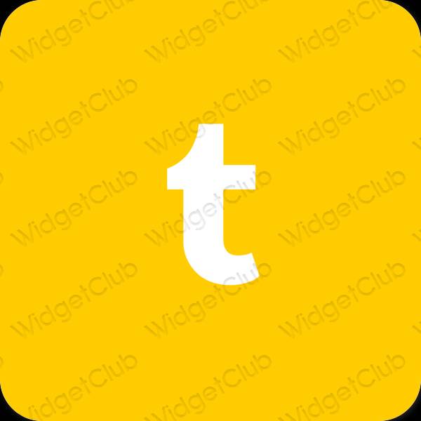 미적인 주황색 Safari 앱 아이콘