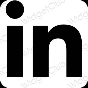 រូបតំណាងកម្មវិធី Linkedin សោភ័ណភាព