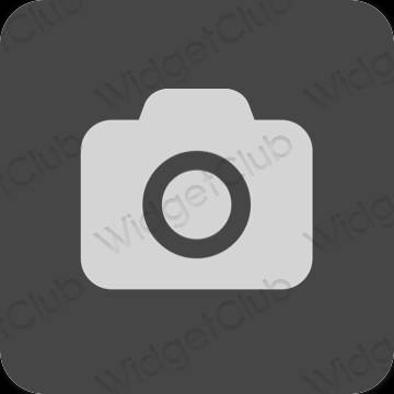 Estetsko siva Camera ikone aplikacij
