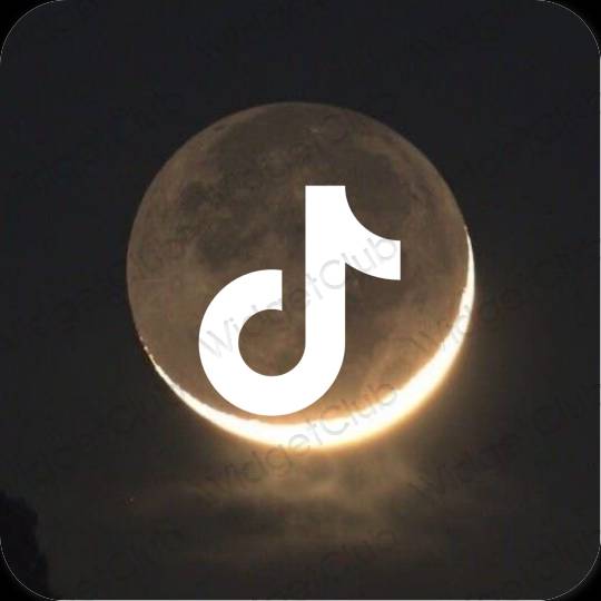 Icônes d'application TikTok esthétiques