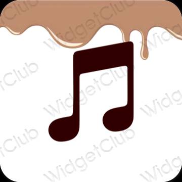 Esthetische Apple Music app-pictogrammen