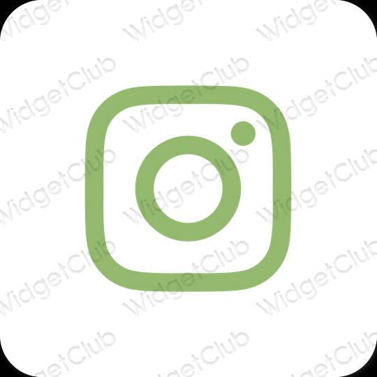 Biểu tượng ứng dụng Instagram thẩm mỹ