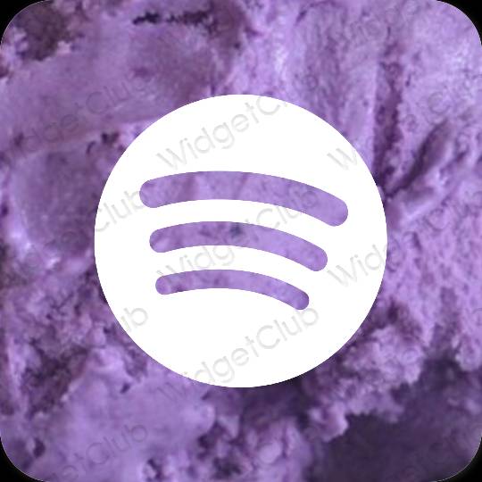 Esthetische Spotify app-pictogrammen