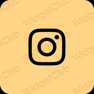 Æstetiske Instagram app-ikoner