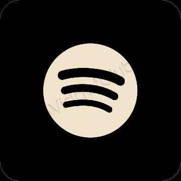 Esthetische Spotify app-pictogrammen