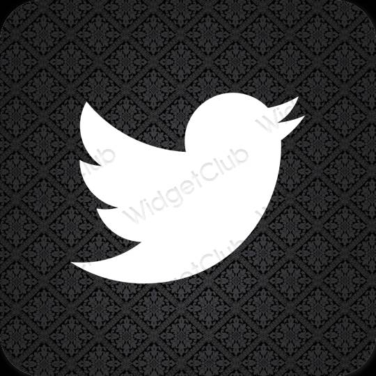 Icônes d'application Twitter esthétiques