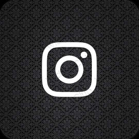 រូបតំណាងកម្មវិធី Instagram សោភ័ណភាព