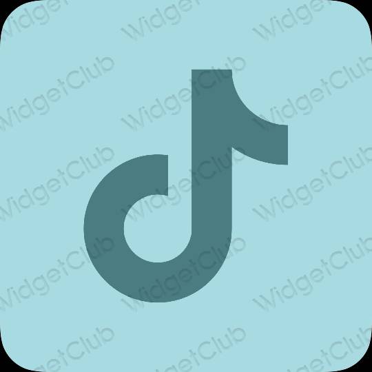 Aesthetic pastel blue TikTok app icons