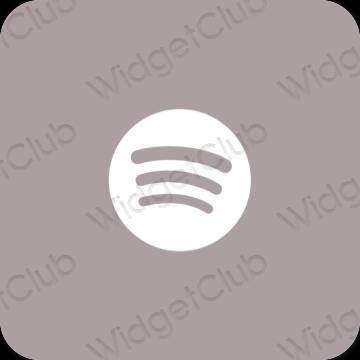 Icônes d'application Spotify esthétiques