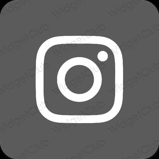 审美的 灰色的 Instagram 应用程序图标