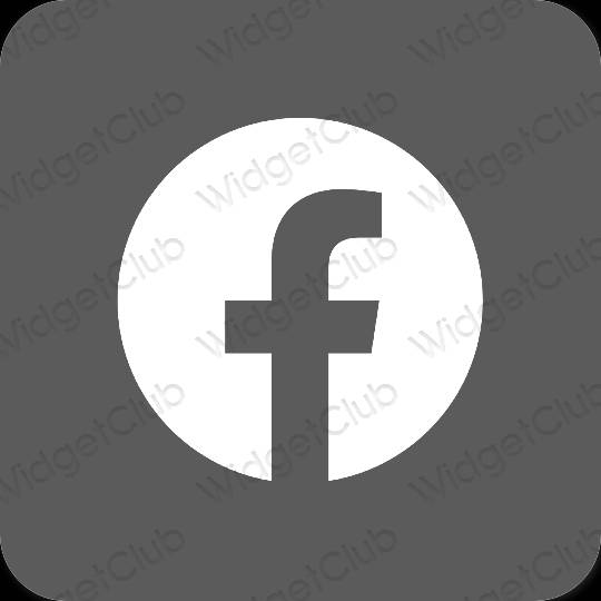 Esthétique grise Facebook icônes d'application