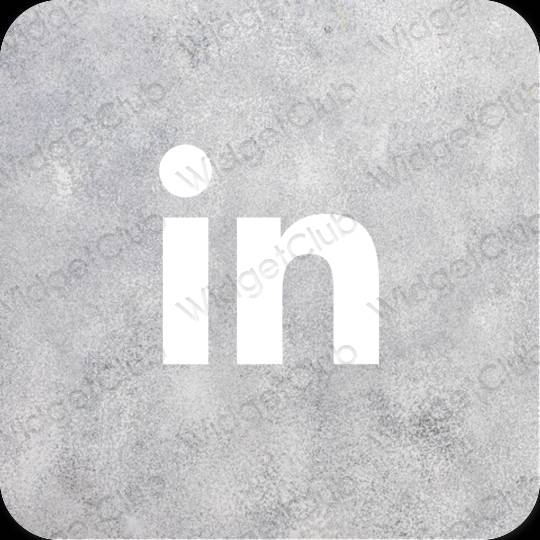 Esthetische Linkedin app-pictogrammen