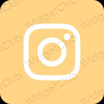 Estetik oren Instagram ikon aplikasi