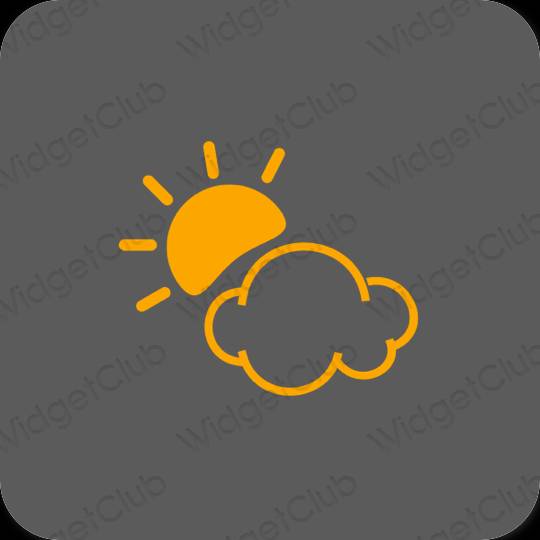 Esthétique grise Weather icônes d'application
