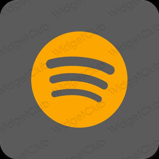 Estetico grigio Spotify icone dell'app