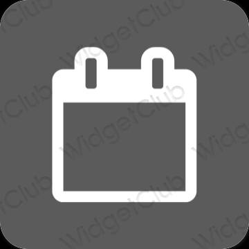 Estetico grigio Calendar icone dell'app