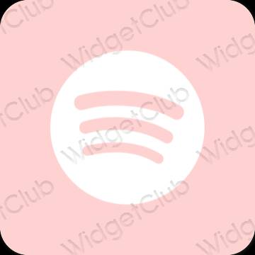 Esthetische Spotify app-pictogrammen