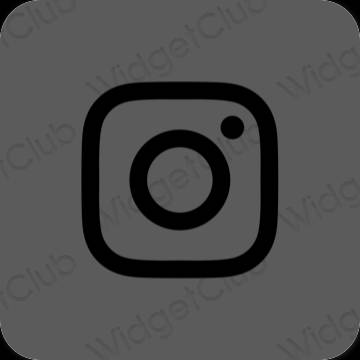 審美的 灰色的 Instagram 應用程序圖標