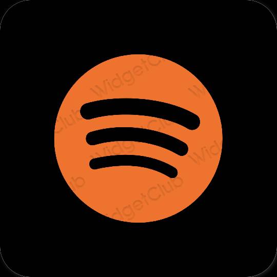 Естетске Spotify иконе апликација