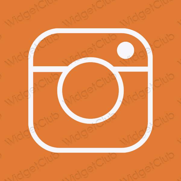 រូបតំណាងកម្មវិធី Instagram សោភ័ណភាព