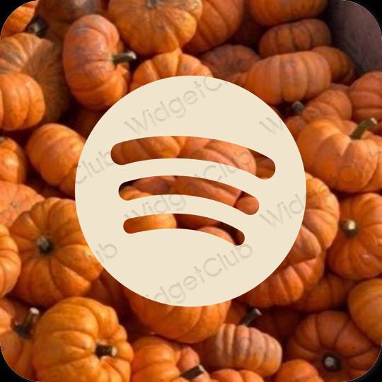 Estetiska Spotify appikoner