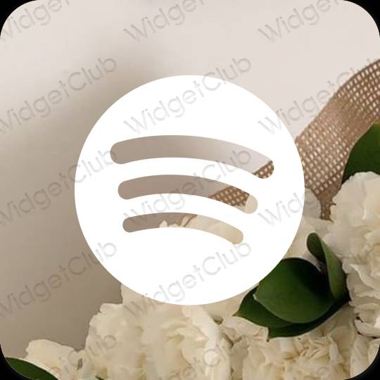 نمادهای برنامه زیباشناسی Spotify