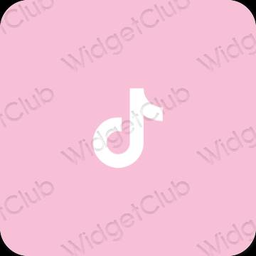 미적 TikTok 앱 아이콘