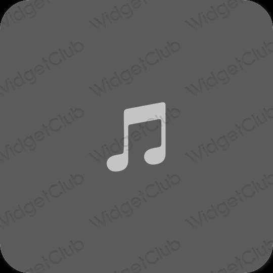 Stijlvol grijs Music app-pictogrammen