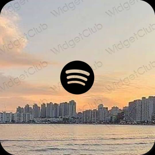 Biểu tượng ứng dụng Spotify thẩm mỹ