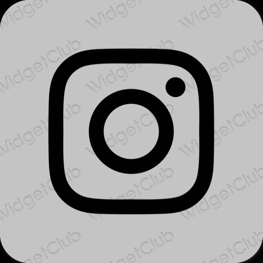 ესთეტიკური Instagram აპლიკაციის ხატები