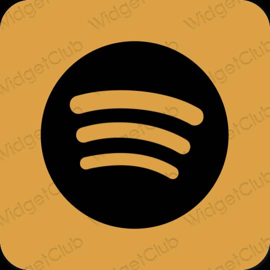 Estetico arancia Spotify icone dell'app