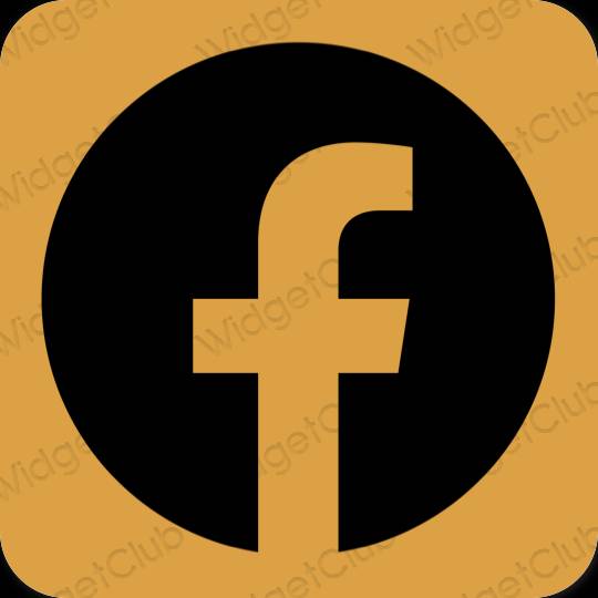 Estetis jeruk Facebook ikon aplikasi