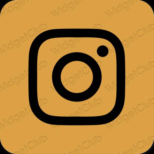 جمالي البرتقالي Instagram أيقونات التطبيق