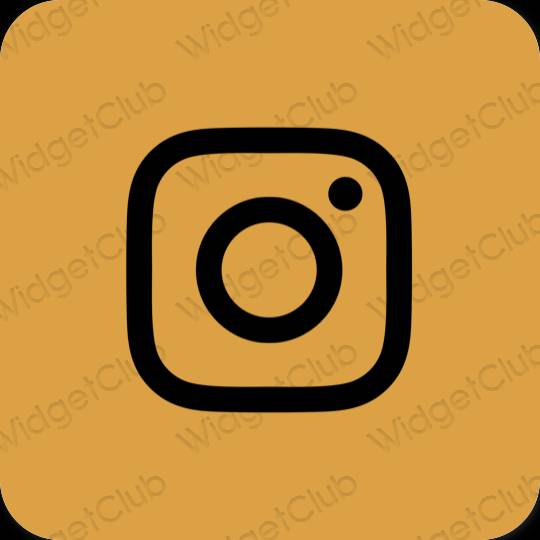 審美的 棕色的 Instagram 應用程序圖標