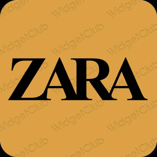 Estético marrón ZARA iconos de aplicaciones