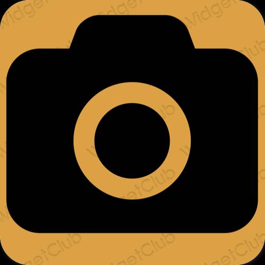 Esteetiline pruun Camera rakenduste ikoonid
