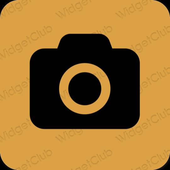 Esthétique brun Camera icônes d'application