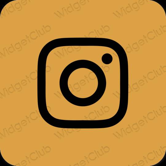 Esztétika barna Instagram alkalmazás ikonok