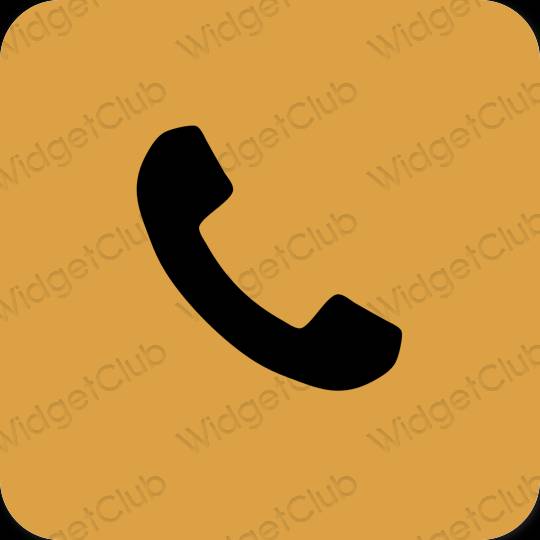 Estético marrón Phone iconos de aplicaciones