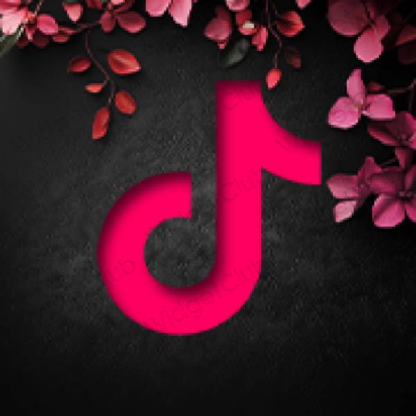 សោភ័ណ ពណ៌ផ្កាឈូកអ៊ីយូតា TikTok រូបតំណាងកម្មវិធី