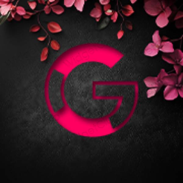 រូបតំណាងកម្មវិធី Google សោភ័ណភាព
