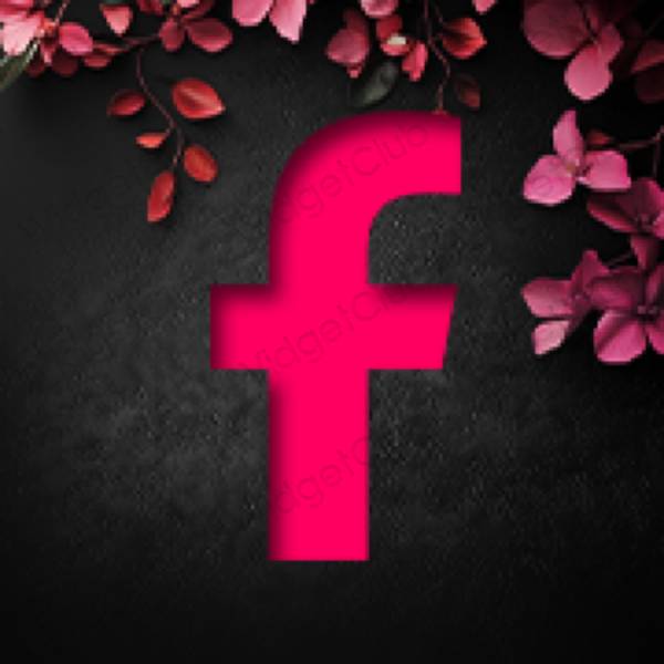 Aesthetic Facebook app icons
