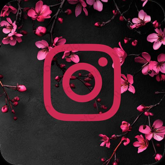 សោភ័ណ ពណ៌ផ្កាឈូកអ៊ីយូតា Instagram រូបតំណាងកម្មវិធី