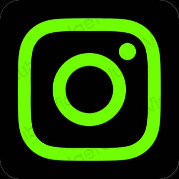 جمالي لون أخضر Instagram أيقونات التطبيق