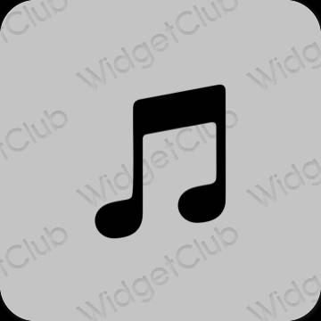 Aesthetic gray Apple Music app icons