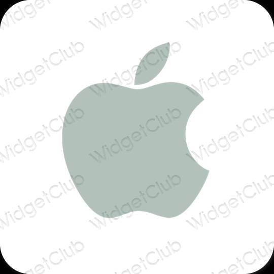 Biểu tượng ứng dụng Apple Store thẩm mỹ