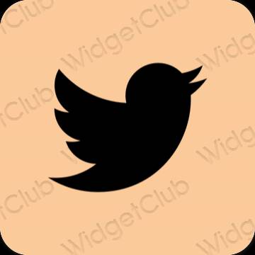 Estetico arancia Twitter icone dell'app