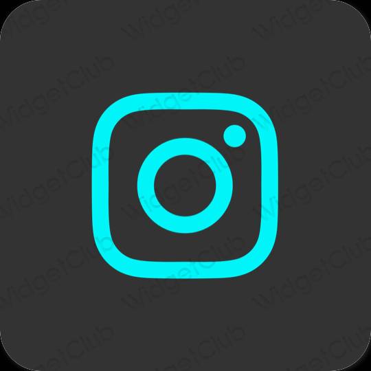 Aesthetic Instagram app icons