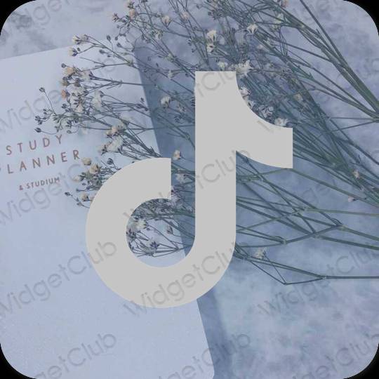 Stijlvol grijs TikTok app-pictogrammen