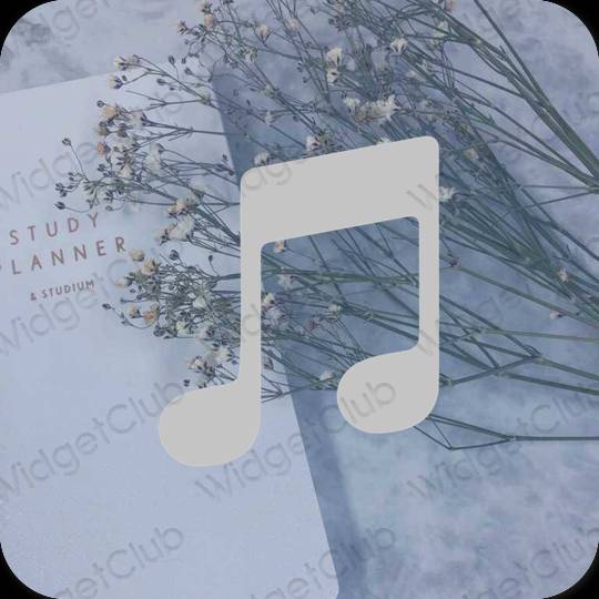 Esthétique grise Apple Music icônes d'application